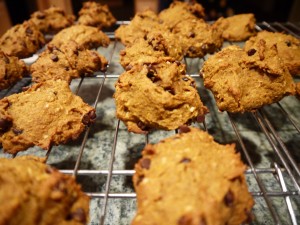 squash cookies